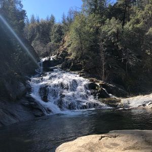 Meet your Posher, Reyna